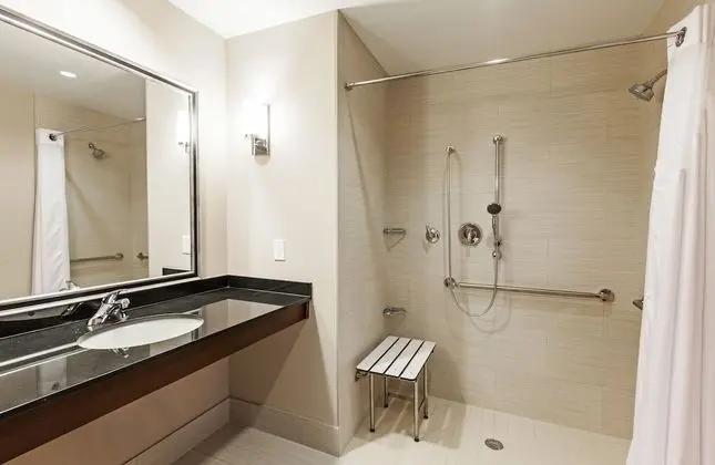 Oda, 1 En Büyük (King) Boy Yatak, Engellilere Uygun, Sigara İçilmez (Accessible Tub)