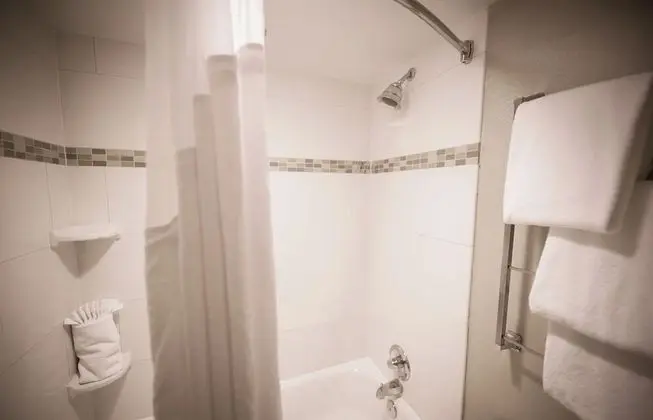 Süit, 1 En Büyük (King) Boy Yatak, Engellilere Uygun (Communication, Accessible Tub)