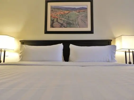 Standard Oda, 1 En Büyük (King) Boy Yatak, Sigara İçilebilir