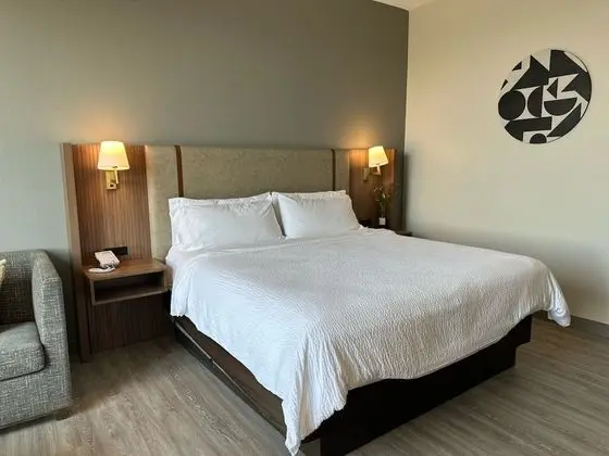 Premium Oda, 1 En Büyük (King) Boy Yatak, Dağ Manzaralı