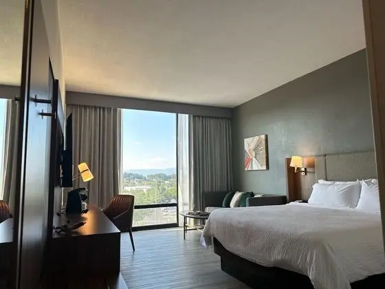 Premium Oda, 1 En Büyük (King) Boy Yatak, Dağ Manzaralı