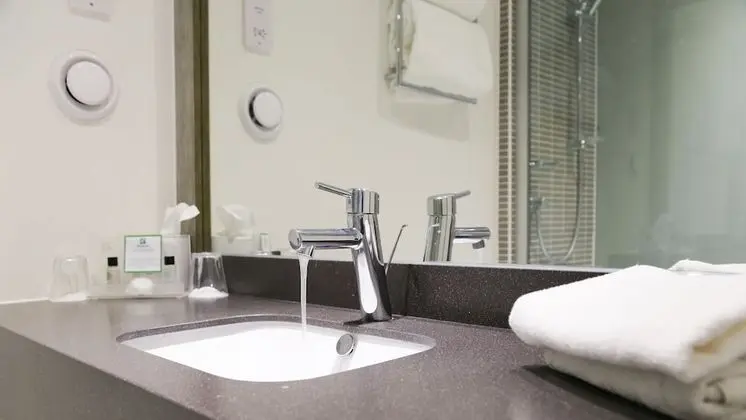 Standard Oda, 1 Çift Kişilik Yatak (Walk-In Shower)