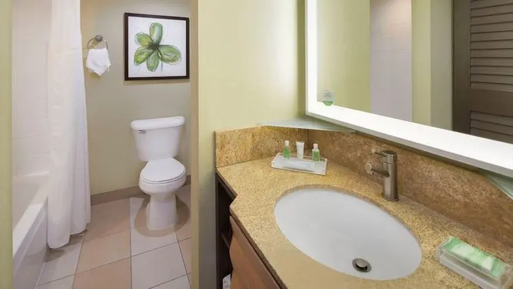 Standard Oda, 1 Büyük (Queen) Boy Yatak, Engellilere Uygun (Mobility, Accessible Tub)