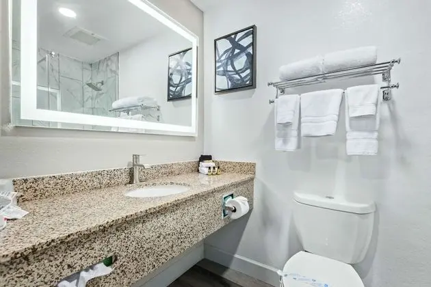 Standard Oda, 2 Büyük (Queen) Boy Yatak, Engellilere Uygun, Dağ Manzaralı (Walk-in Shower)