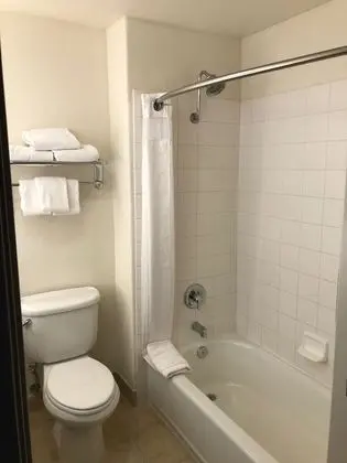 Standard Oda, 1 Çift Kişilik Yatak, Engellilere Uygun (Accessible Tub)