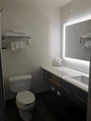 Standard Oda, 1 Çift Kişilik Yatak, Engellilere Uygun (Accessible Tub)