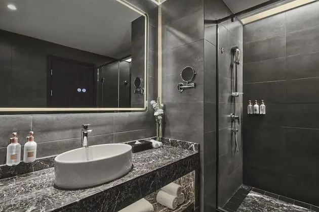 Standard Oda, Business Dinlenme Salonu Kullanımı