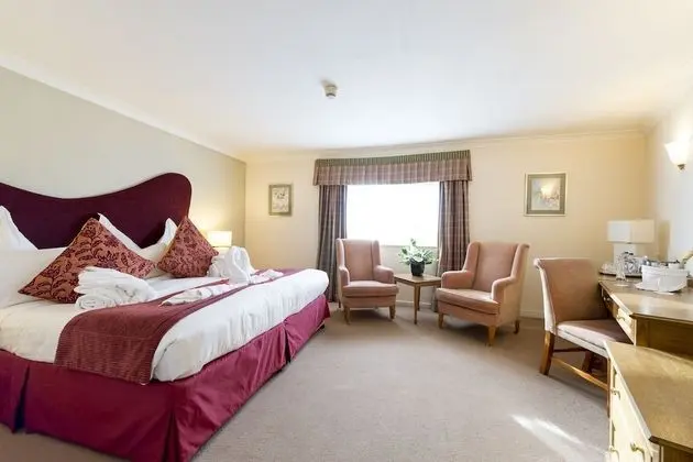 Premium Oda, 1 En Büyük (King) Boy Yatak