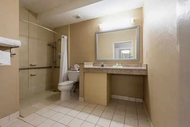 Standard Oda, 1 Büyük (Queen) Boy Yatak, Engellilere Uygun (Mobility, Accessible Tub)