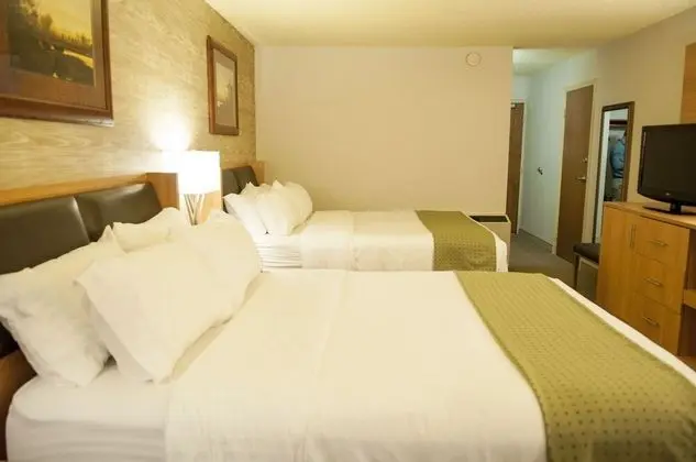 Standard Oda, 2 Büyük (Queen) Boy Yatak (Pet Friendly)