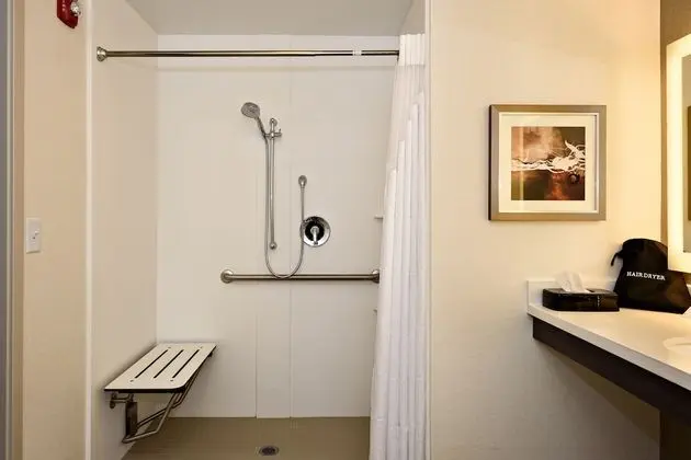 Standard Oda, 1 En Büyük (King) Boy Yatak, Engellilere Uygun (Hearing, Roll-In Shower)
