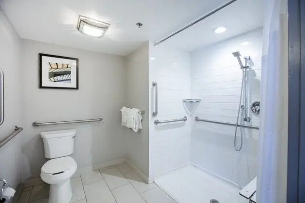 Premium Oda, 1 En Büyük (King) Boy Yatak, Engellilere Uygun (Roll-In Shower)