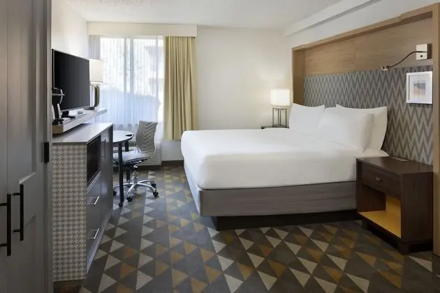 Oda, 1 En Büyük (King) Boy Yatak, Avlu Manzaralı (Pet Friendly)