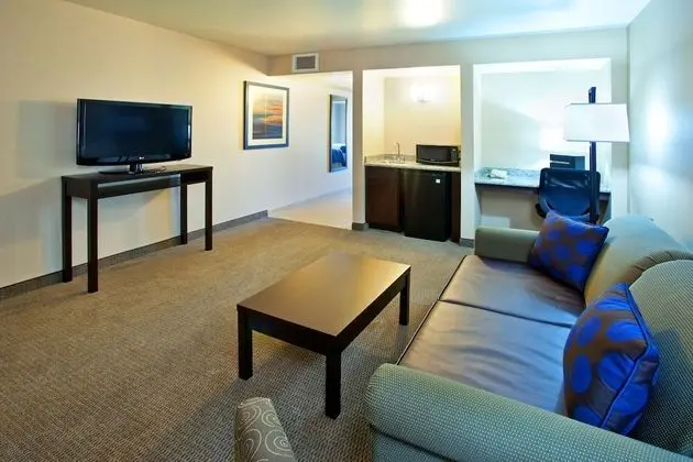 Süit, 1 Yatak Odası (Living Area)