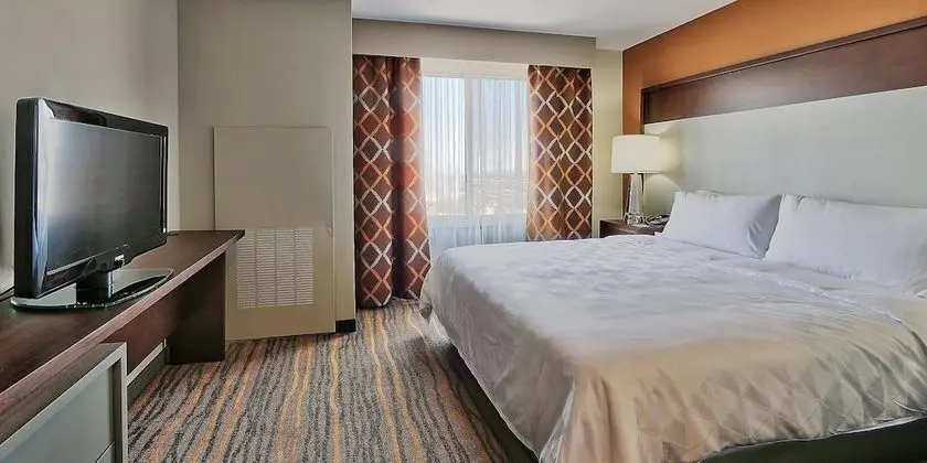 Süit, 1 En Büyük (King) Boy Yatak ve Çekyat (Additional Living Area)