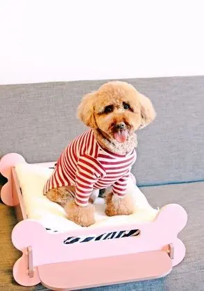 Süit, 2 Yatak Odası (1 additional Ondol Bed Pet Friendly)