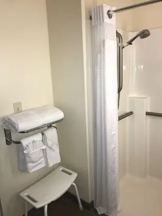 Standard Oda, 1 En Büyük (King) Boy Yatak, Engellilere Uygun (Roll-In Shower)