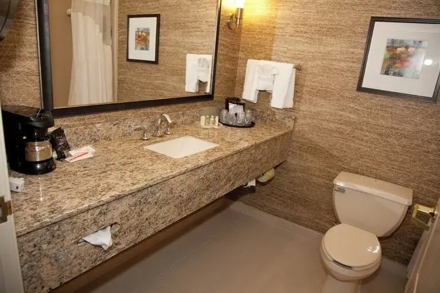 Süit, 1 En Büyük (King) Boy Yatak, Engellilere Uygun (Accessible Tub)