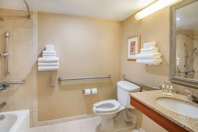 Standard Oda, 1 En Büyük (King) Boy Yatak, Engellilere Uygun (Communication, Accessible Tub)