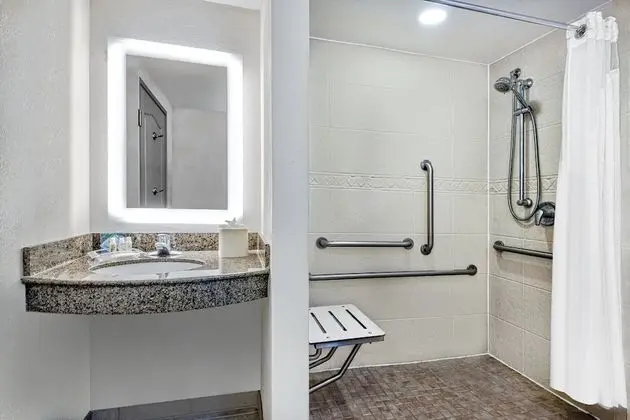 Standard Oda, 1 En Büyük (King) Boy Yatak, Engellilere Uygun (Mobility, Roll-In Shower)