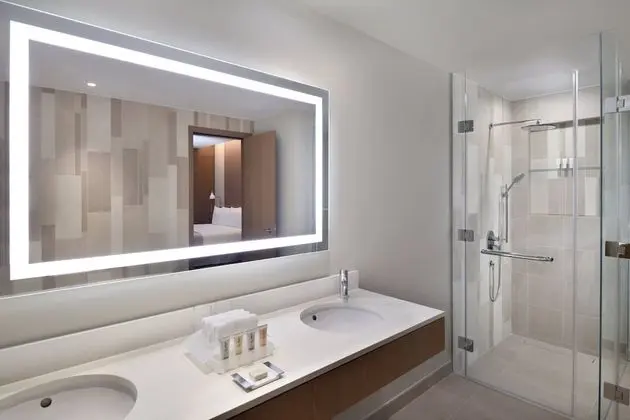 Premium Oda, 1 En Büyük (King) Boy Yatak, Mutfak, Şehir Manzaralı