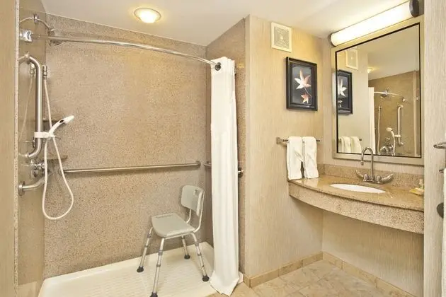 Standard Oda, 1 En Büyük (King) Boy Yatak, Engellilere Uygun (Hearing, Roll-In Shower)