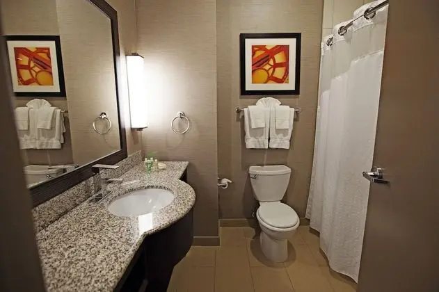 Standard Oda, 1 En Büyük (King) Boy Yatak, Engellilere Uygun (Communications, Accessible Tub)