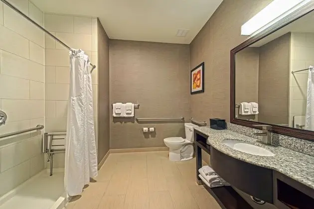 Standard Oda, 1 En Büyük (King) Boy Yatak, Engellilere Uygun (Communications, Roll-In Shower)