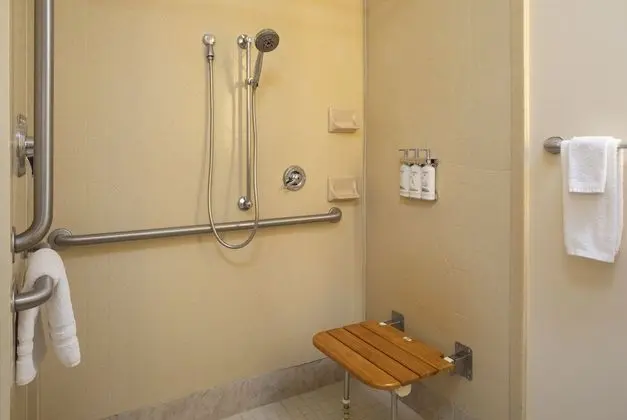 Süit, 1 En Büyük (King) Boy Yatak, Engellilere Uygun (Communication, Mobil Roll-In Shower)