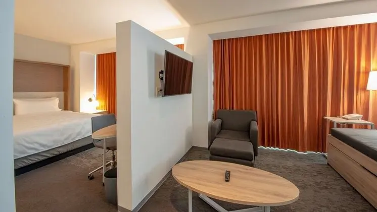 Süit, 1 En Büyük (King) Boy Yatak, Şehir Manzaralı