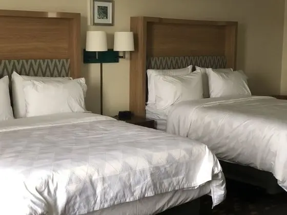 Standard Oda, 2 Büyük (Queen) Boy Yatak, Engellilere Uygun (Comm)