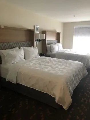 Standard Oda, 2 Büyük (Queen) Boy Yatak, Engellilere Uygun (Comm)