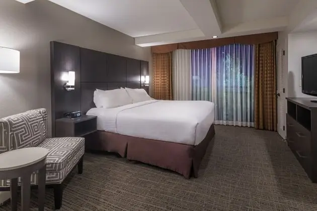 Süit, 1 Yatak Odası (1 King Bed)