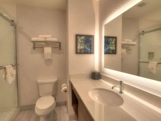 Premium Oda, 1 En Büyük (King) Boy Yatak, Balkon, Nehir Manzaralı (Top Floor)