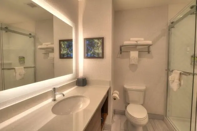 Premium Oda, 1 En Büyük (King) Boy Yatak, Balkon, Nehir Manzaralı (Top Floor)