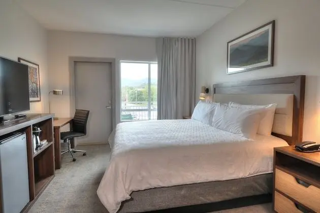 Premium Oda, 1 En Büyük (King) Boy Yatak, Balkon (Parkway View)