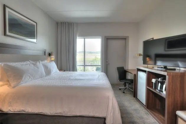 Premium Oda, 1 En Büyük (King) Boy Yatak, Balkon (Parkway View)