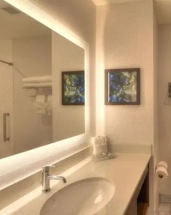 Premium Oda, 1 En Büyük (King) Boy Yatak, Balkon (Parkway View)