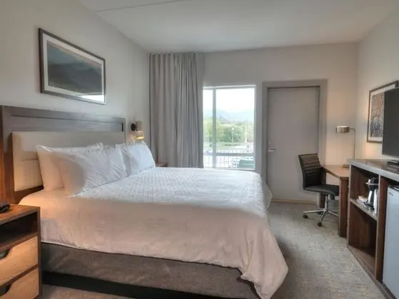 Premium Oda, 1 En Büyük (King) Boy Yatak, Balkon (Parkway View)