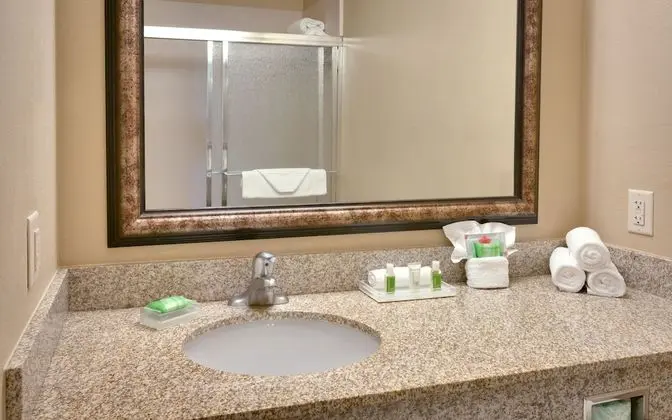 Standard Oda, 1 En Büyük (King) Boy Yatak, Engellilere Uygun (Mobility Transfer Shower)