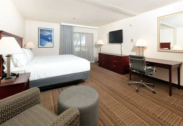 Standard Oda, 1 En Büyük (King) Boy Yatak