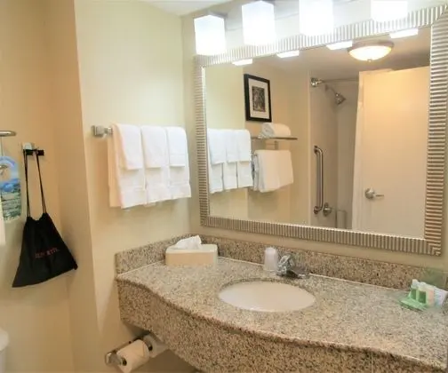 Standard Oda, 1 En Büyük (King) Boy Yatak, Engellilere Uygun (Mobility, Accessible Shower)