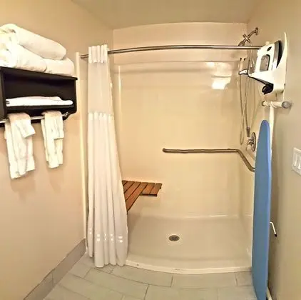 Süit, 1 Büyük (Queen) Boy Yatak, Engellilere Uygun (Roll-In Shower)