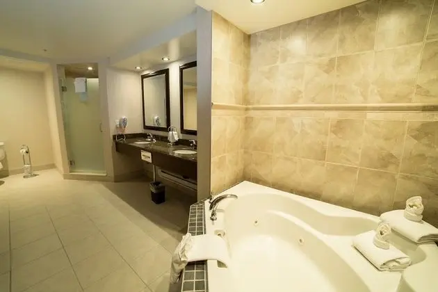 Süit, 1 En Büyük (King) Boy Yatak, Engellilere Uygun (Mobility, Access Tub)