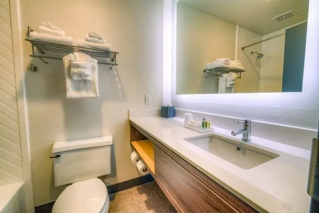 Standard Oda, 2 Büyük (Queen) Boy Yatak, Engellilere Uygun (Mobility, Accessible Tub)