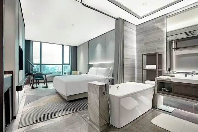Premium Oda, 1 En Büyük (King) Boy Yatak, Sigara İçilmez, Şehir Manzaralı