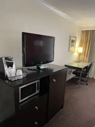 Standard Oda, 1 En Büyük (King) Boy Yatak (High Floor)