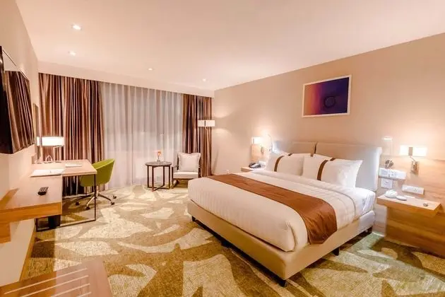 Standard Oda, 1 En Büyük (King) Boy Yatak, Engellilere Uygun (Roll-In Shower)