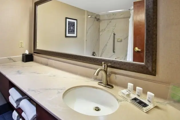 Standard Oda, 1 En Büyük (King) Boy Yatak, Engellilere Uygun (Accessible Tub)