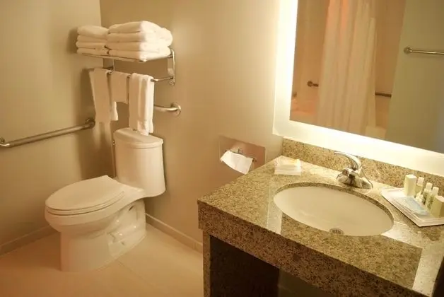 Standard Oda, 1 Büyük (Queen) Boy Yatak, Engellilere Uygun (Mobility, Accessible Tub)